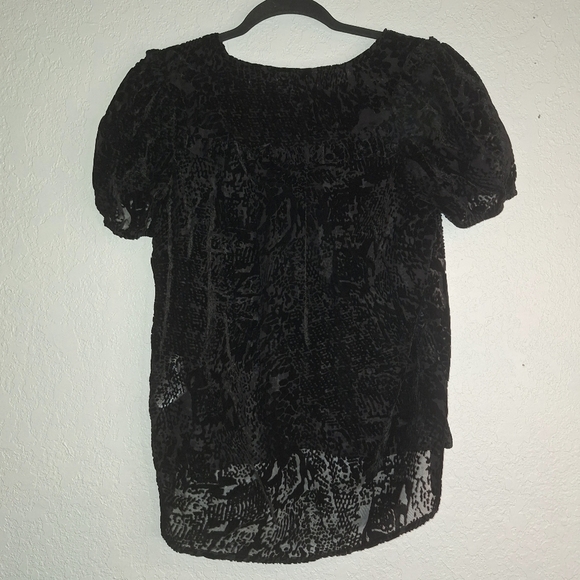 NWT Dear John Verona Spotted Velvet Sheer Top Size S Black Short Sleeve - Picture 2 of 13